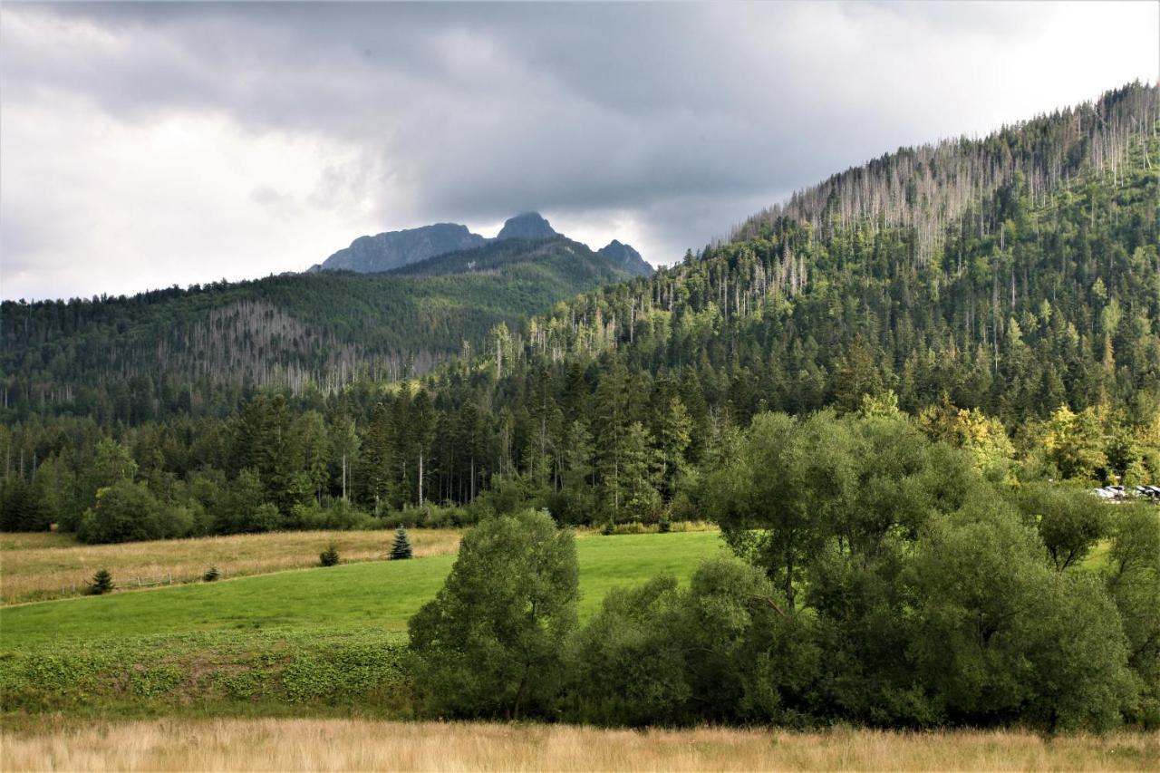 Апартаменты Tatra Rest Косцелиско Экстерьер фото